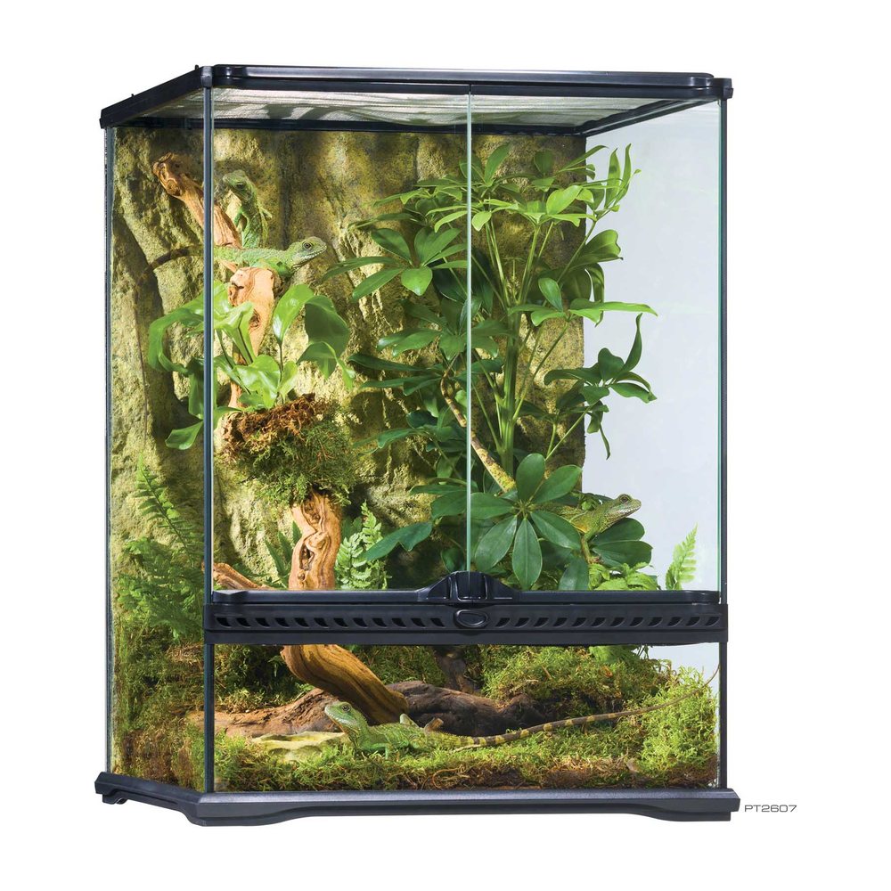 Natural Terrarium Small Tall